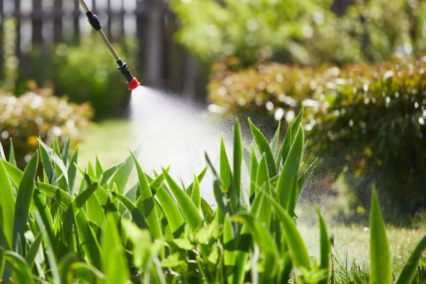 24/7 Emergency Cockroach Control experts in South Houston, TX