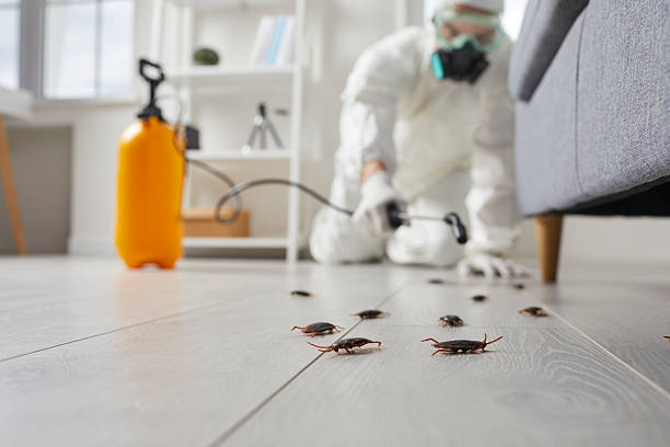 Trusted Cockroach Control service in South Houston, TX - Nex Pest Control